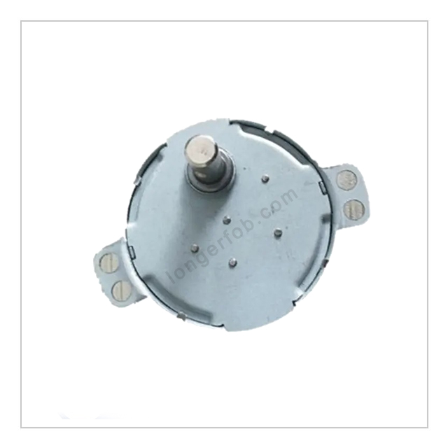 Grill Motor-4